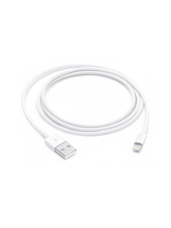 Apple Lightning to USB Cable - 1m